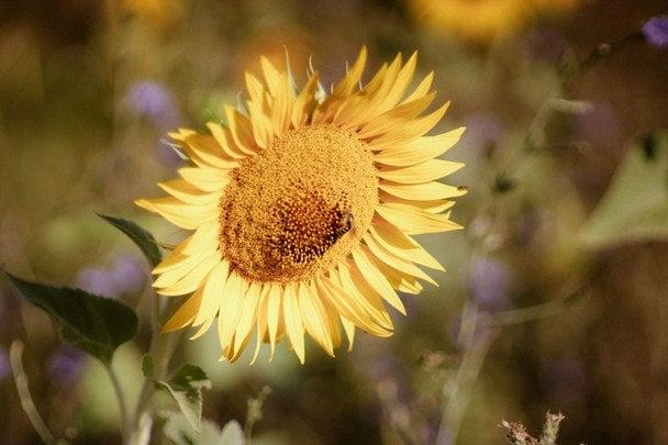 День ангела 27 серпня: кого та як вітати з іменинами