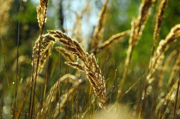 День ангела 30 серпня: кого та як вітати з іменинами