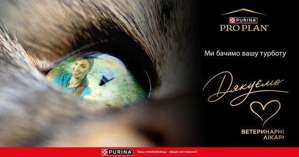 Вони рятують наших улюбленців: чому ветеринарним лікарям самим потрібна підтримка