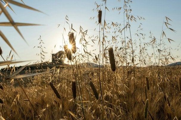 Погода готує неприємний сюрприз: де очікувати злив, а де утримуватиметься спека 1 вересня