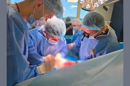 У Флориді зафіксували новий випадок місцевого зараження лихоманкою денге