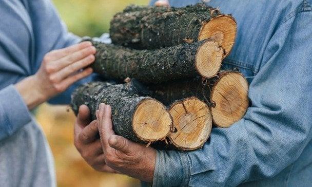 Які дрова найкращі для опалення: що дає більше тепла і довше горить