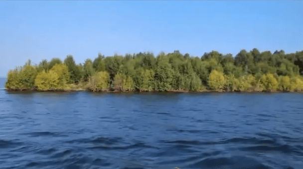 Плавучий острів розміром із футбольне поле з’явився на озері — і загадково зник
